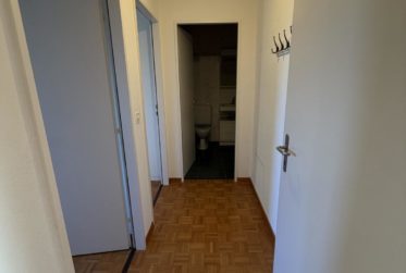 Au centre du village de Meinier - 4,5 pièces avec mezzanine