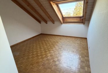 Au centre du village de Meinier - 4,5 pièces avec mezzanine